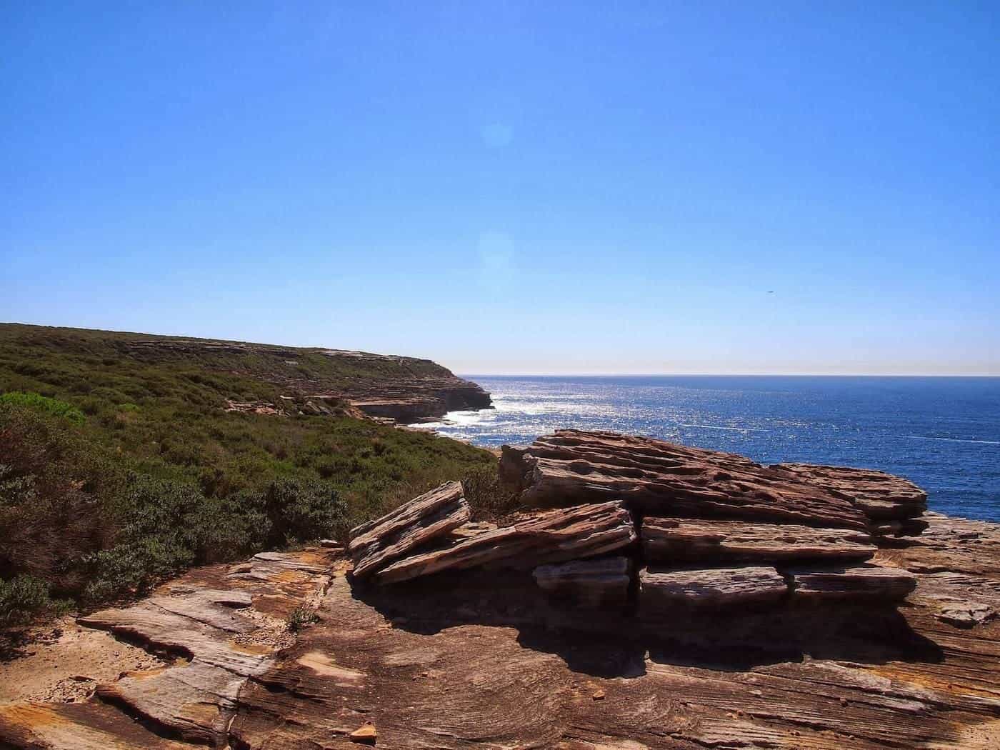 Rock platforms and heath above the ocean on a sunny coastal walk