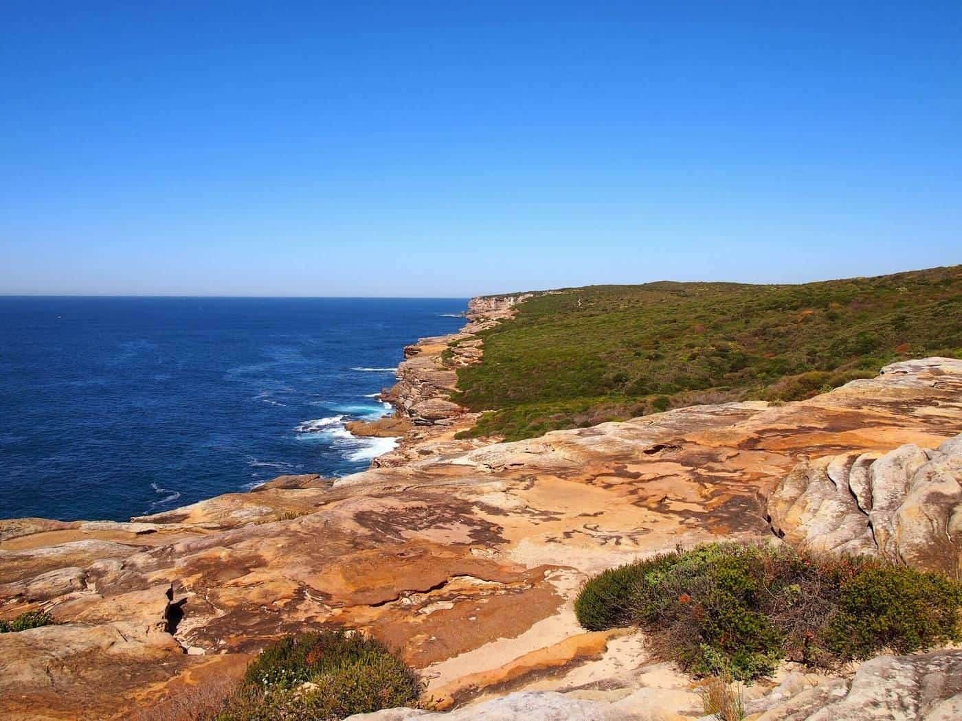 Sandstone cliffs and heath above the ocean on a coastal walking track