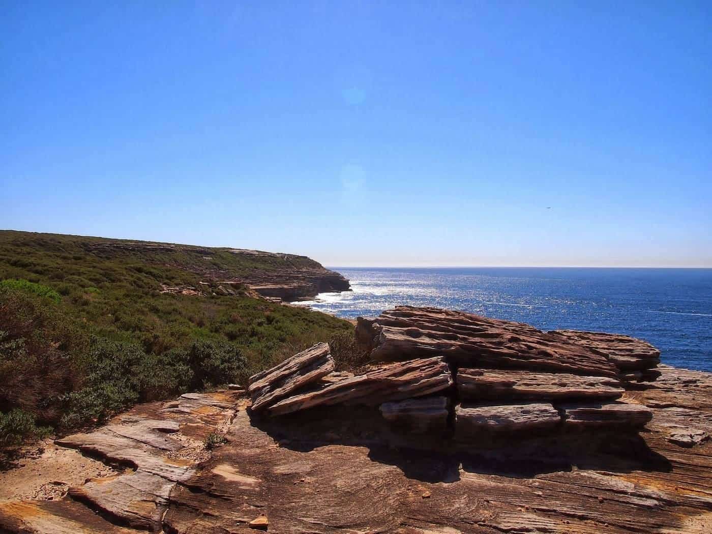 Rock platforms and heath above the ocean on a sunny coastal walk