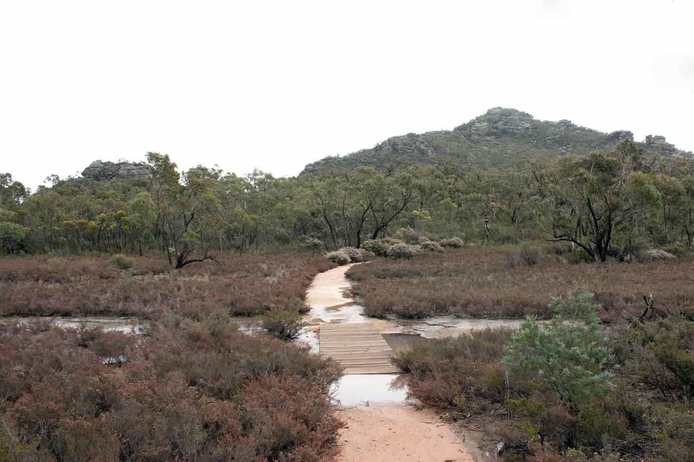 A sandy walking track through heath and eucalypts in Grampians National Park