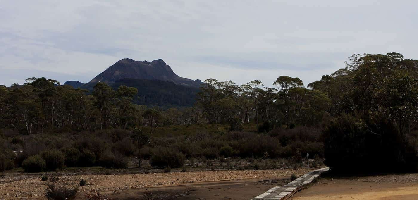 Looking back along the Overland Track across buttongrass plains in Tasmania